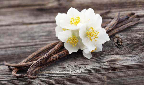 vanilya çiçeği