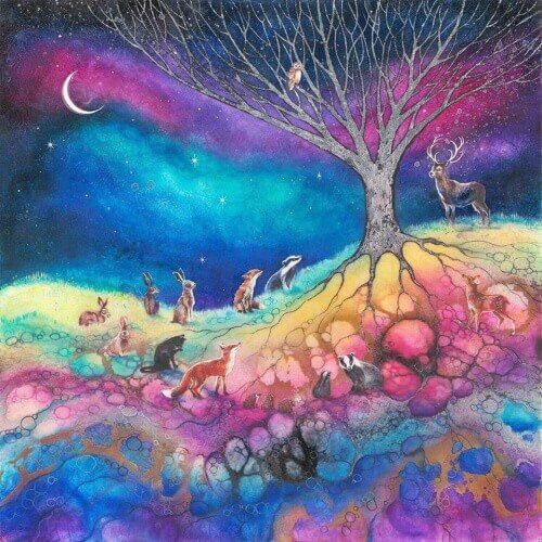 orman tavşan geyik gece