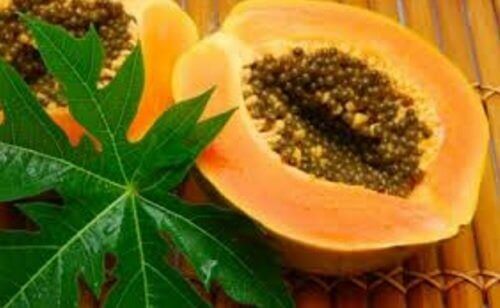 papaya yaprakları trombosit