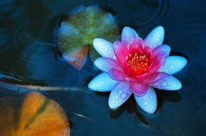 İç Huzura Kavuşmak İçin Taoizm’in Dört Kuralı