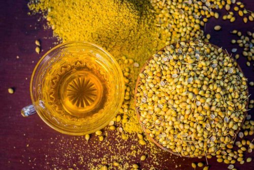 kişniş tohumu çayı