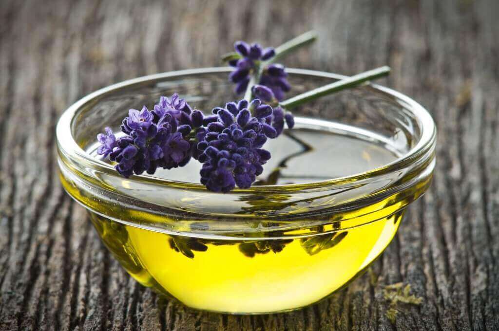 zeytin yağı ve lavanta