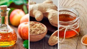 Sindirime Yardımcı Elma Sirkesi, Zencefil ve Ballı Tonik