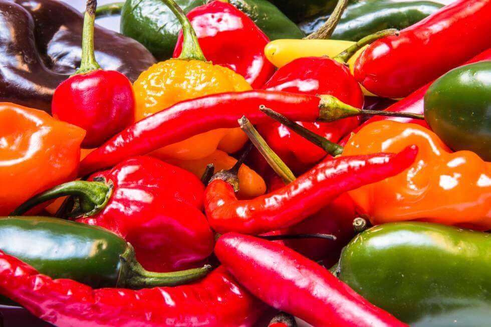 kırmızı ve yeşil biberler