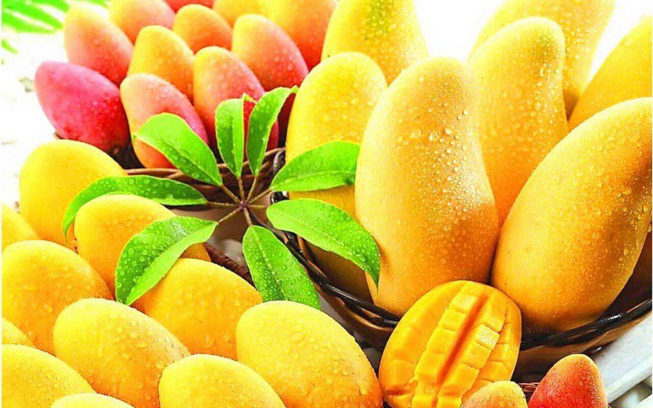 bir düzine mango