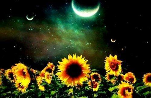 gece yolculuk etmek