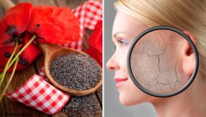 Kuru Ciltler için 7 Vücut Fırçası