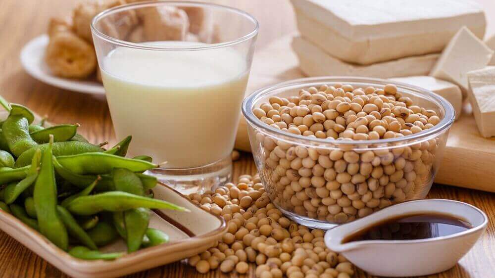 soya fasülyeleri ve süt