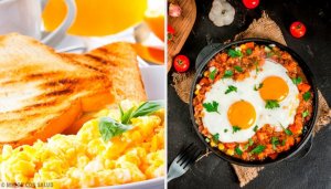 Yumurta ve Besleyici Değerleri