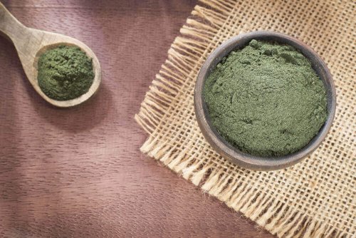 spirulina tozu