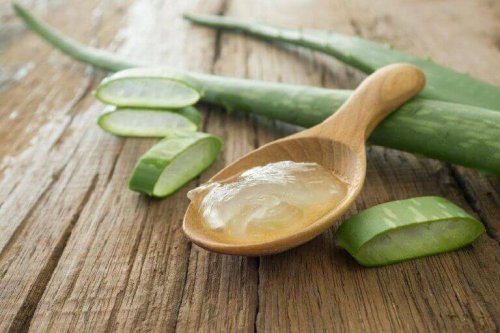 dilimlenmiş aloe vera ve tahta kaşık