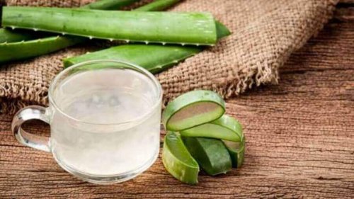 aloe vera içecek