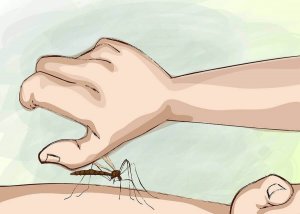 Geceleri Sivrisinek Isırıklarından Nasıl Korunursunuz