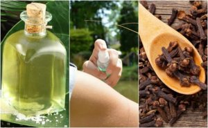 Ev Yapımı 5 Böcek Savar