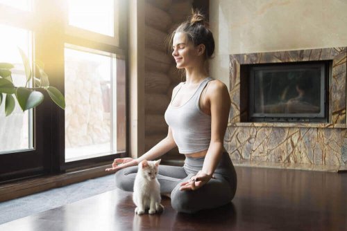 evde yoga yapan kadın beyaz kedi
