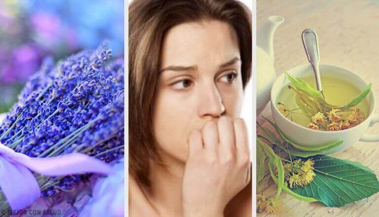 Anksiyeteyi Yatıştırmak için En İyi 5 Doğal Anksiyolitik