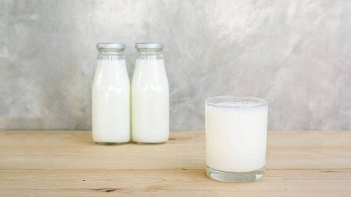 peynir altı suyu içmek