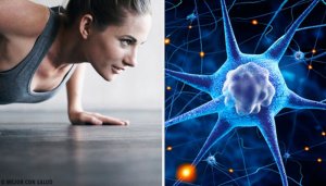 Egzersiz ile Hormonlar Nasıl Düzenlenir?