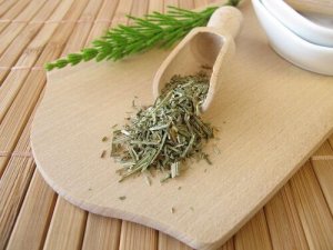 Kilo Vermek İçin At Kuyruğu Otu