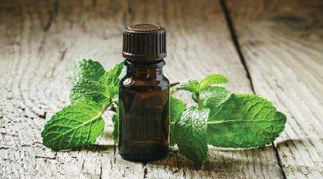 bir şişe nane yağı