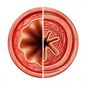 İnhalerler Nasıl Çalışır?
