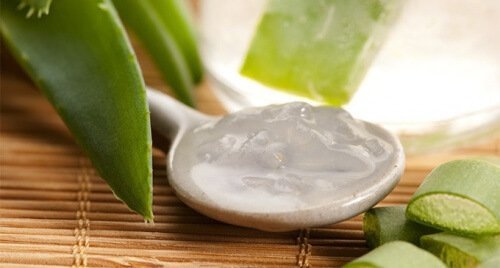 aloe vera jeli