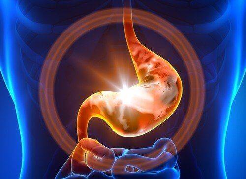 Gastroenterit rahatsızlığının sebepleri