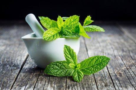 taze nane yaprakları ve boğaz kaşıntısı