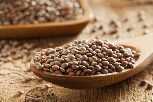 kaşıkta yeşil mercimek