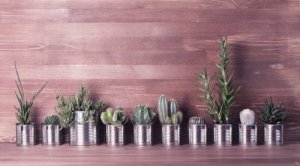 Alüminyum Konserve Kutularını Geri Dönüştürmenin Üç Yolu