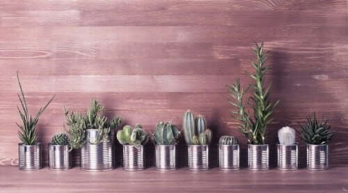 Alüminyum Konserve Kutularını Geri Dönüştürmenin Üç Yolu