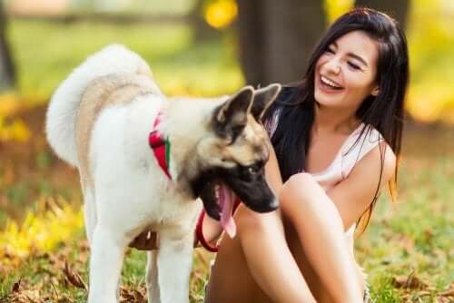 köpek mutlu kadın orman