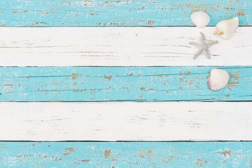 mavi beyaz çizgili zeminde deniz kabukları