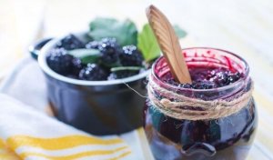 Ev Yapımı Şekersiz Reçel Tarifleri