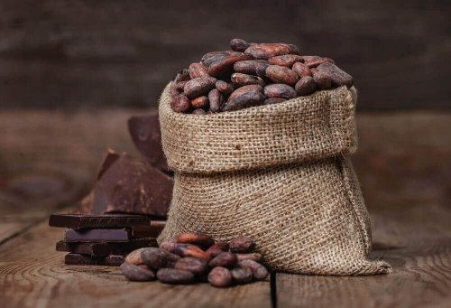 doğal kakao tohumu