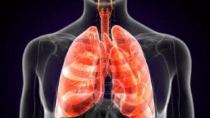Pulmoner Veba Nedir?