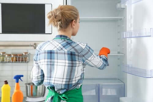 Buzdolabını Temizlemek İçin Çevre Dostu Yöntemler
