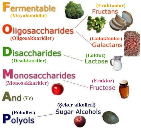 fodmap diyeti