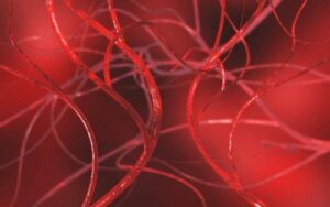 Arterlerdeki Tıkanıklığı Açmak İçin 4 Doğal Reçete
