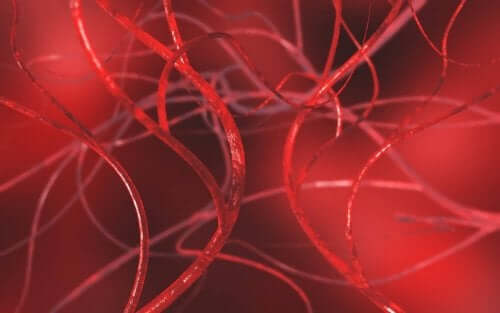 Arterlerdeki Tıkanıklığı Açmak İçin 4 Doğal Reçete