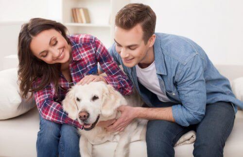 Evcil hayvanlarını sevmekte olan bir çift.