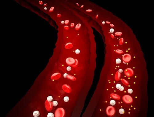 kanda bulunan parazitler ve şistozomiyaz