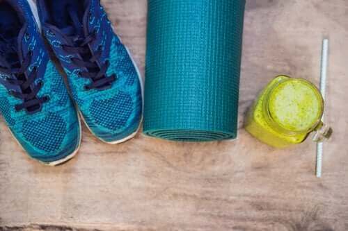 Yeşil Sebzeli ve Kenevir Tohumlu Protein İçeceği