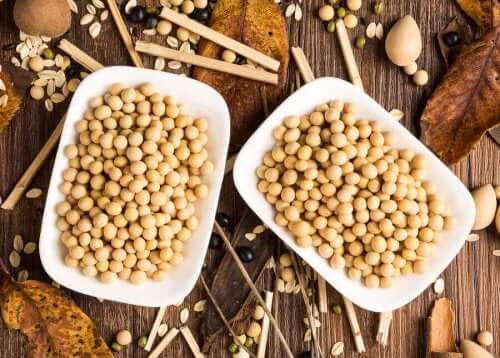 Soya fasulyesi dolu bazı kaseler.