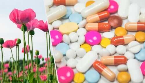 Hammadde çiçek ve reçeteli opioidler
