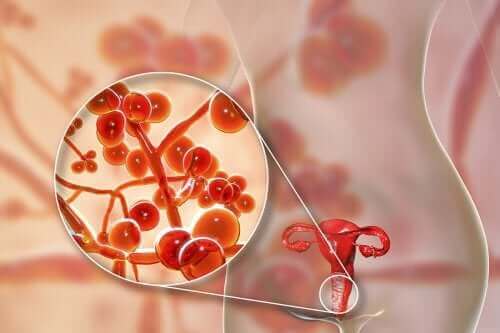 Genital Mikoplazma: Nedenleri, Belirtileri ve Tedavisi