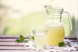 Peynir Altı Suyu Alternatifleri ve Özellikleri