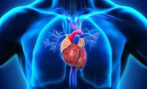 konjenital kalp hastalığı ilüstrasyon