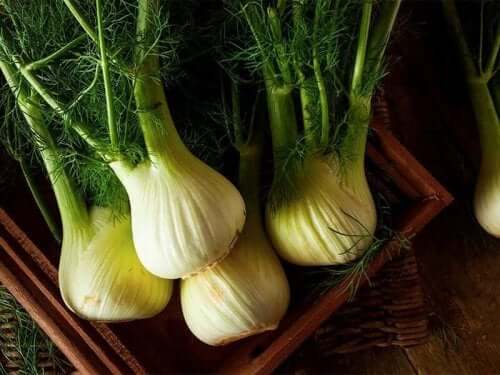 Rezene yumruları.
