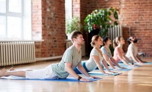birlikte yoga yapan insanlar